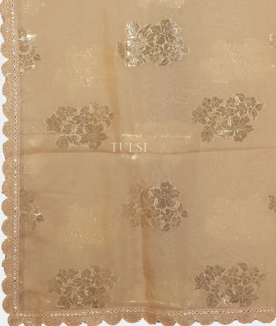 Beige Kora Organza Embroidery Saree T4739595
