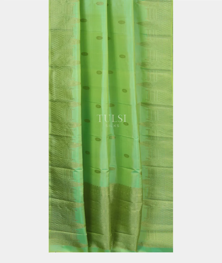 Green Handwoven Kanjivaram Silk Dupatta T3788942