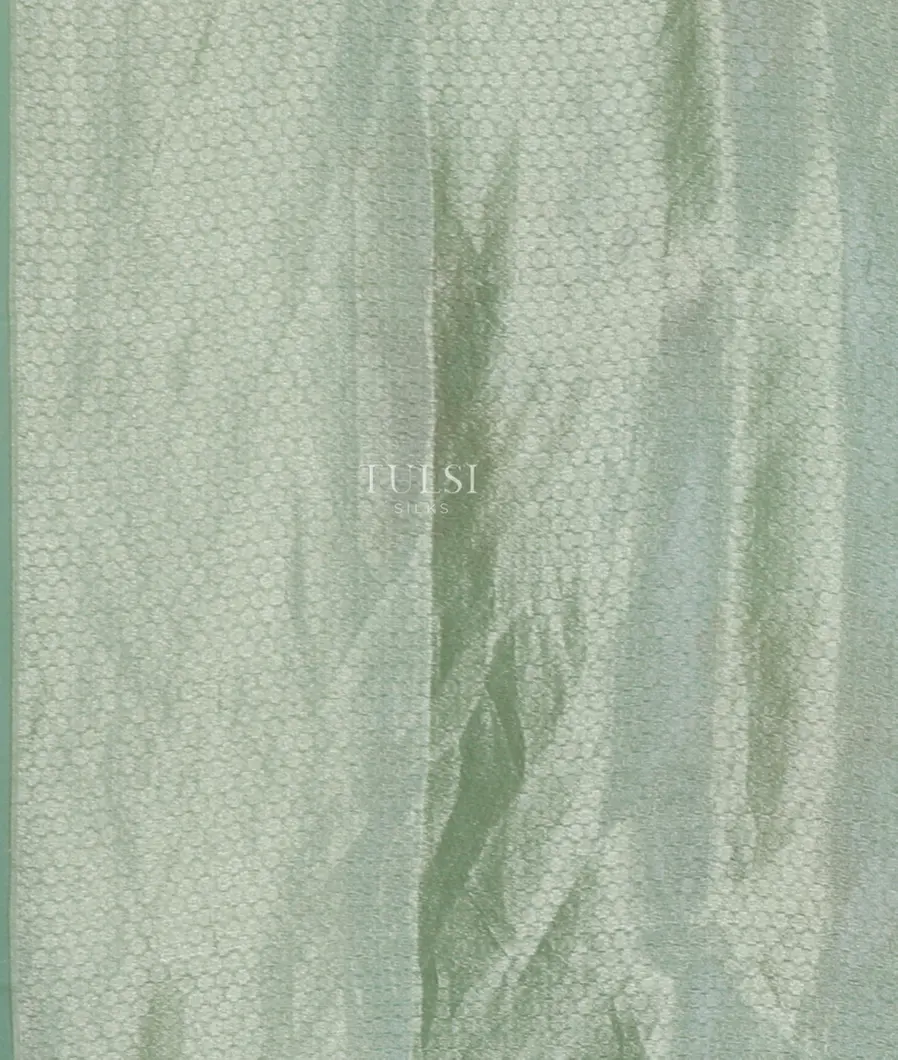 Green Kora Organza Printed Saree T4768223