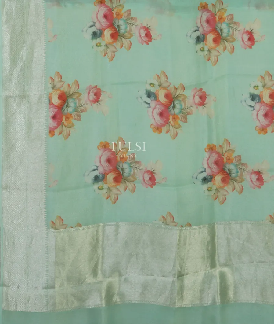 Green Kora Organza Printed Saree T4768224