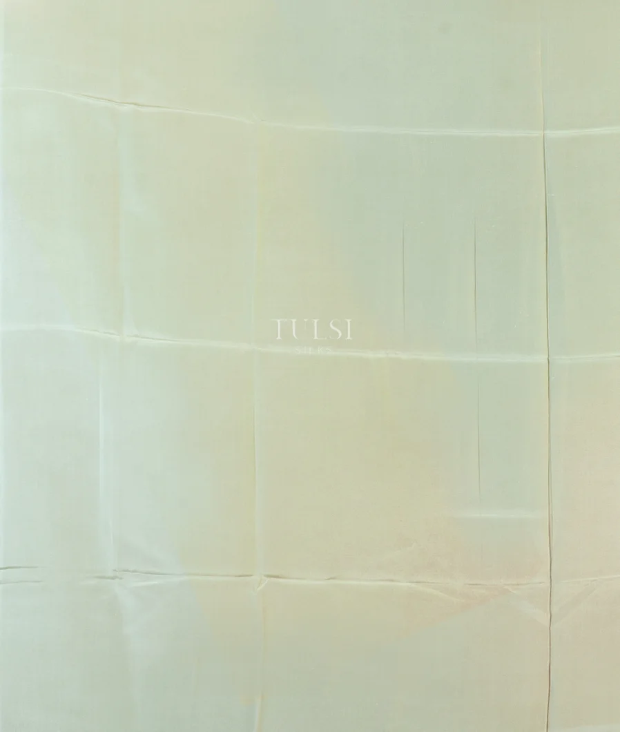 Light Green  Satin Crepe Silk Saree T4736933