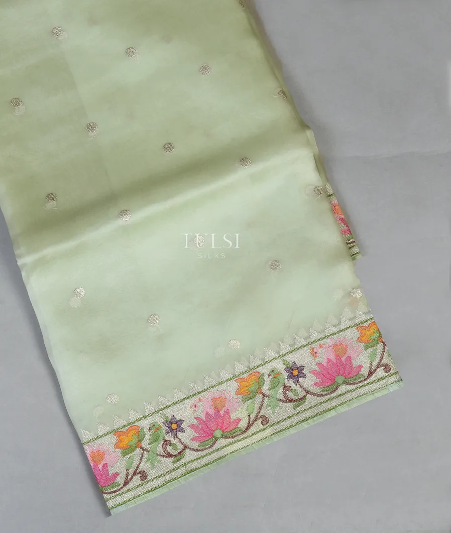 Green Kora Organza Embroidery Saree T477546-image
