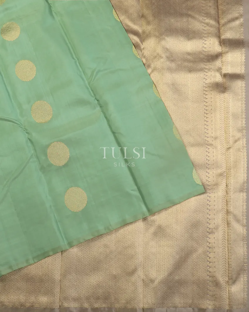 Green Handwoven Kanjivaram Silk Saree T4810264