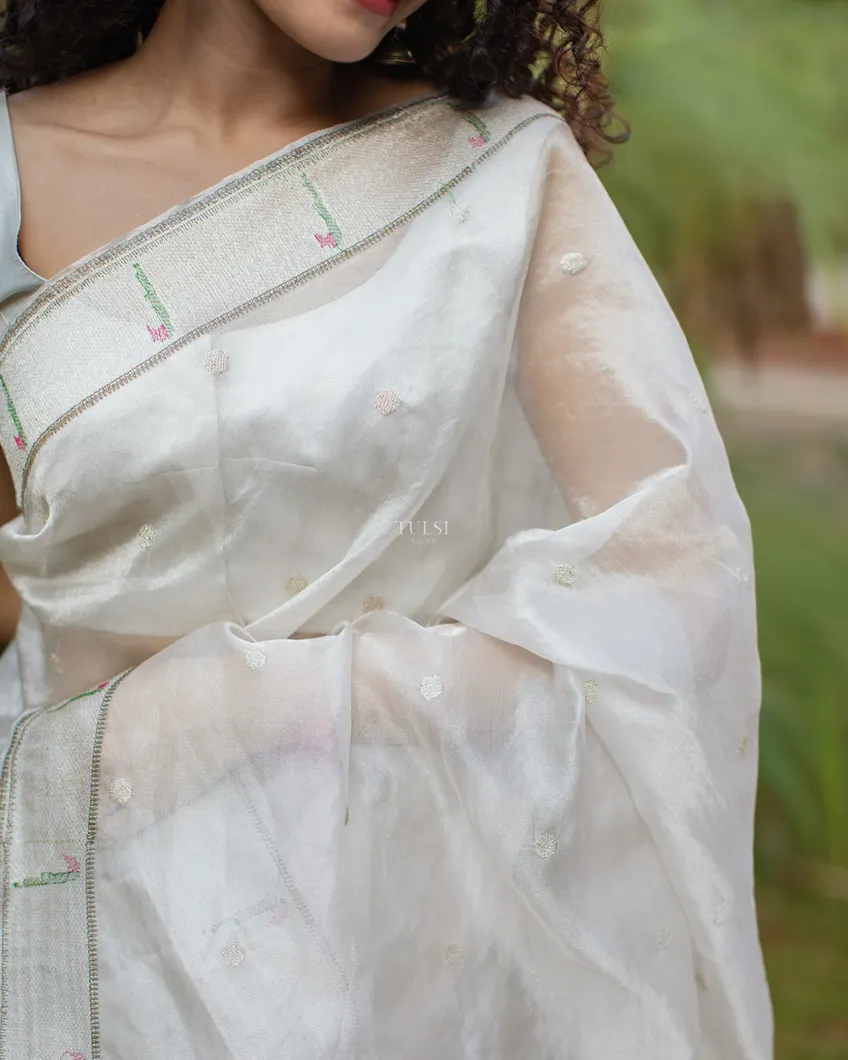 silver-kora-tissue-organza-embroidery-saree-t463107-t463107-f