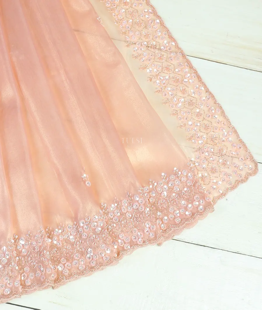 peach-tissue-organza-embroidery-saree-t483814-t483814-b