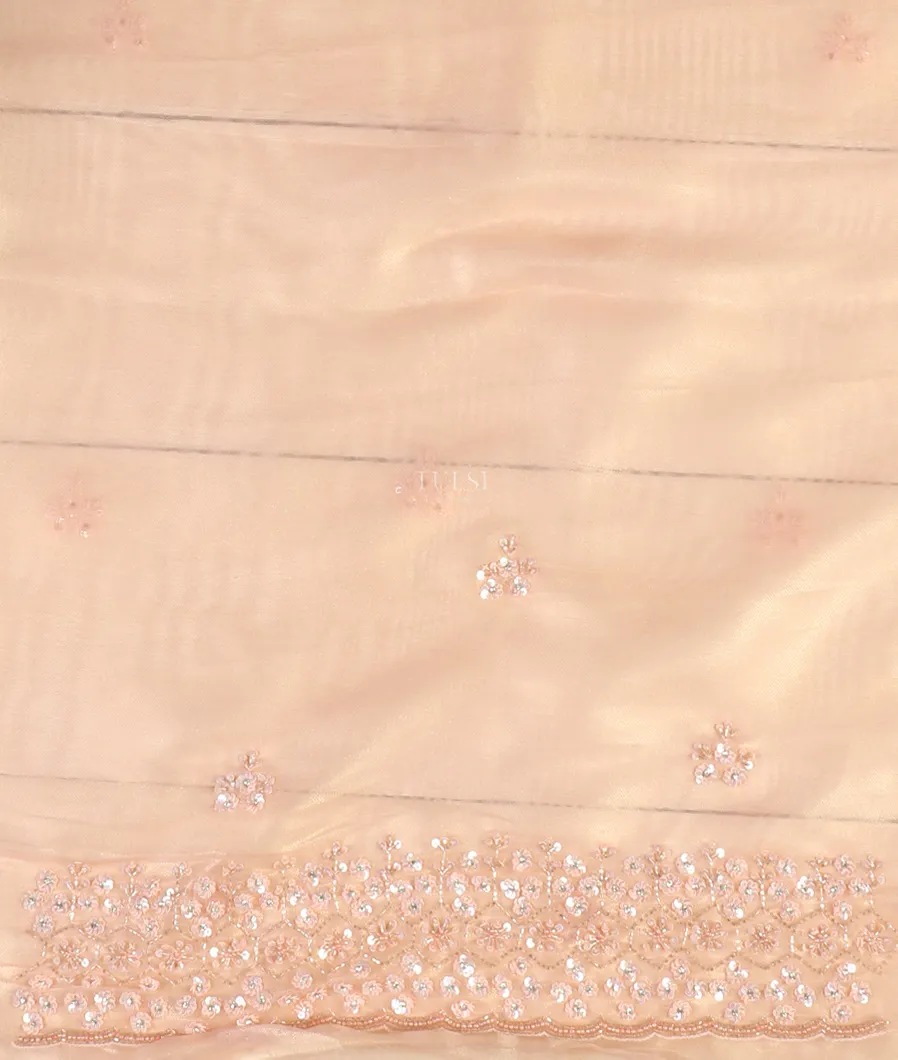 peach-tissue-organza-embroidery-saree-t483814-t483814-c