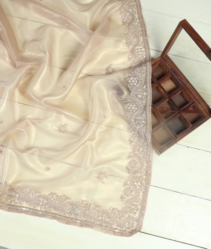 Beige Tissue Organza Embroidery Saree T483822-image