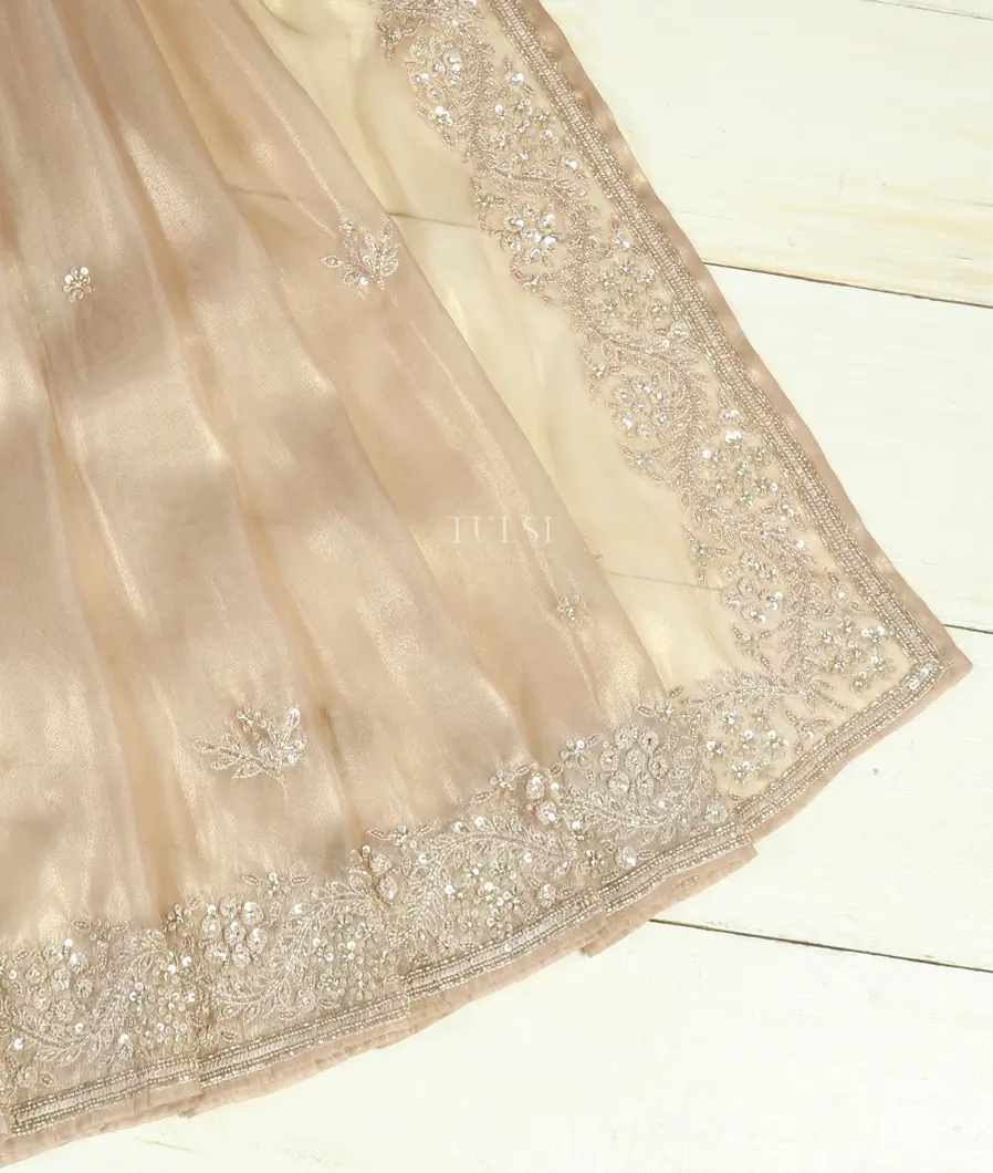 beige-tissue-organza-embroidery-saree-t483822-t483822-b