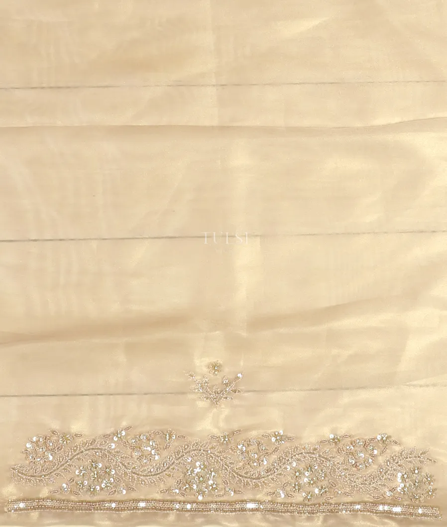 beige-tissue-organza-embroidery-saree-t483822-t483822-c