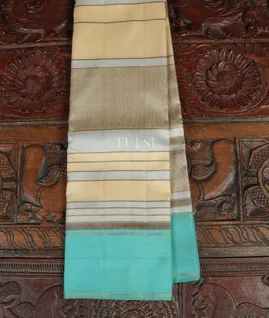 Multicolour Handwoven Kanjivaram Silk Saree T3180931