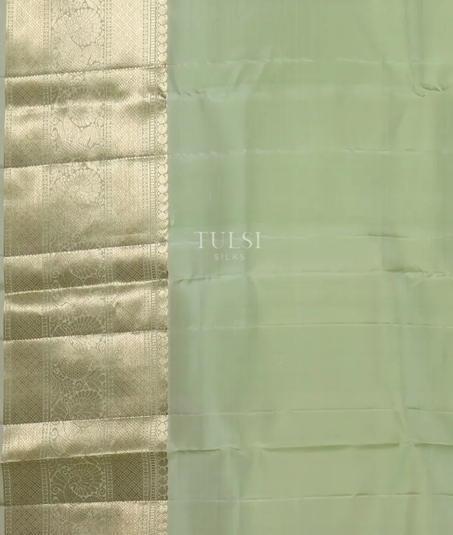 Green Handwoven Kanjivaram Silk Saree T4556943