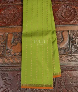 Green Handwoven Kanjivaram Silk Saree T3746811