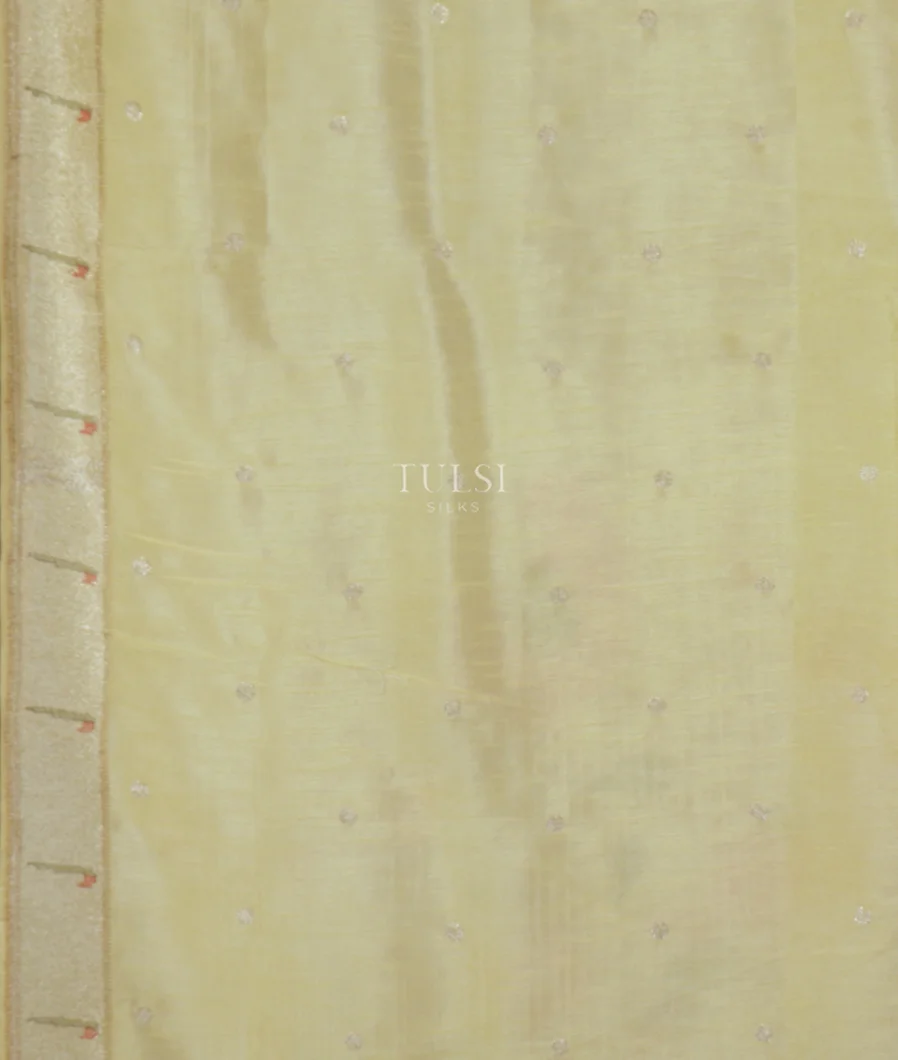 Cream Kora Organza Embroidery Saree T4751213