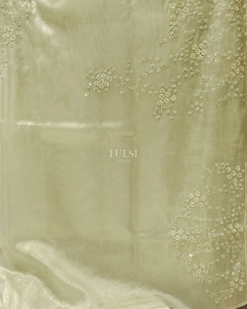 Pastel Green Tissue Organza Embroidery Saree T4746113