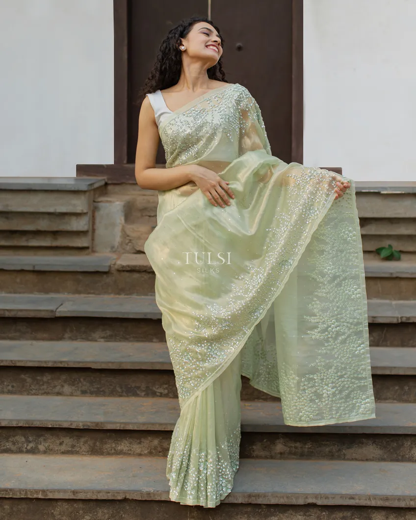 Pastel Green Tissue Organza Embroidery Saree T4746115
