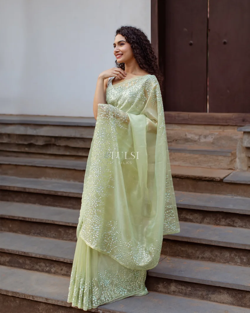 Pastel Green Tissue Organza Embroidery Saree T4746116