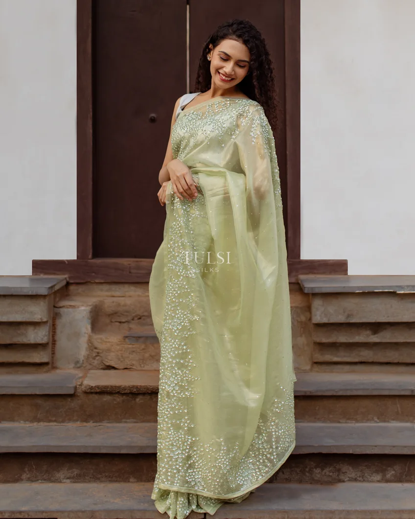 Pastel Green Tissue Organza Embroidery Saree T4746117