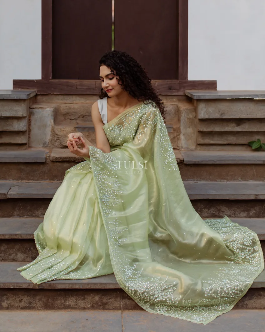 Pastel Green Tissue Organza Embroidery Saree T4746118