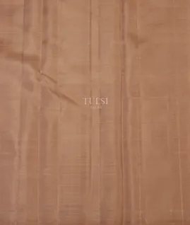 Beige Handwoven Kanjivaram Silk Saree T4180553