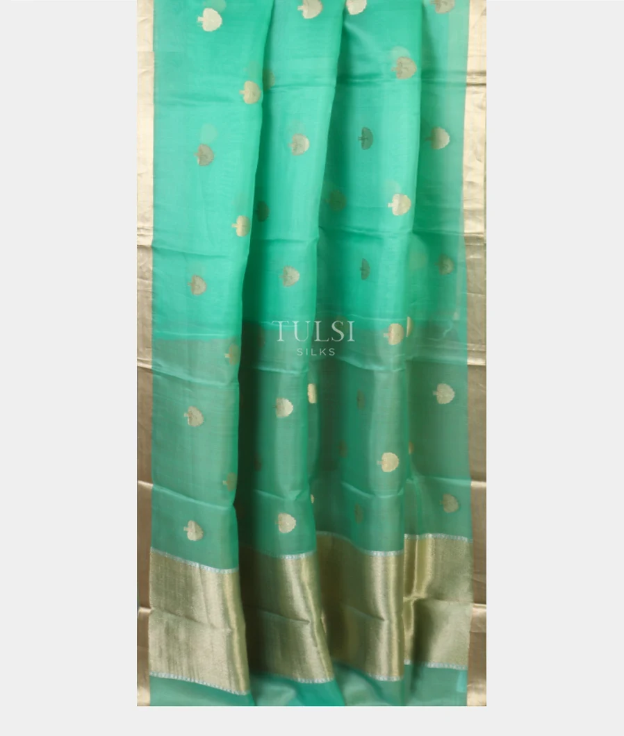 green-banaras-organza-saree-t449210-t449210-b