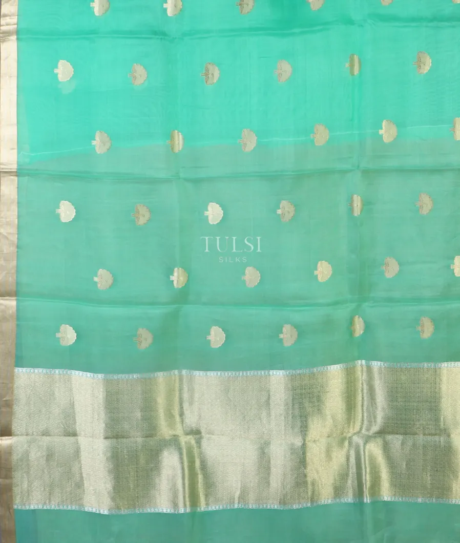 green-banaras-organza-saree-t449210-t449210-d