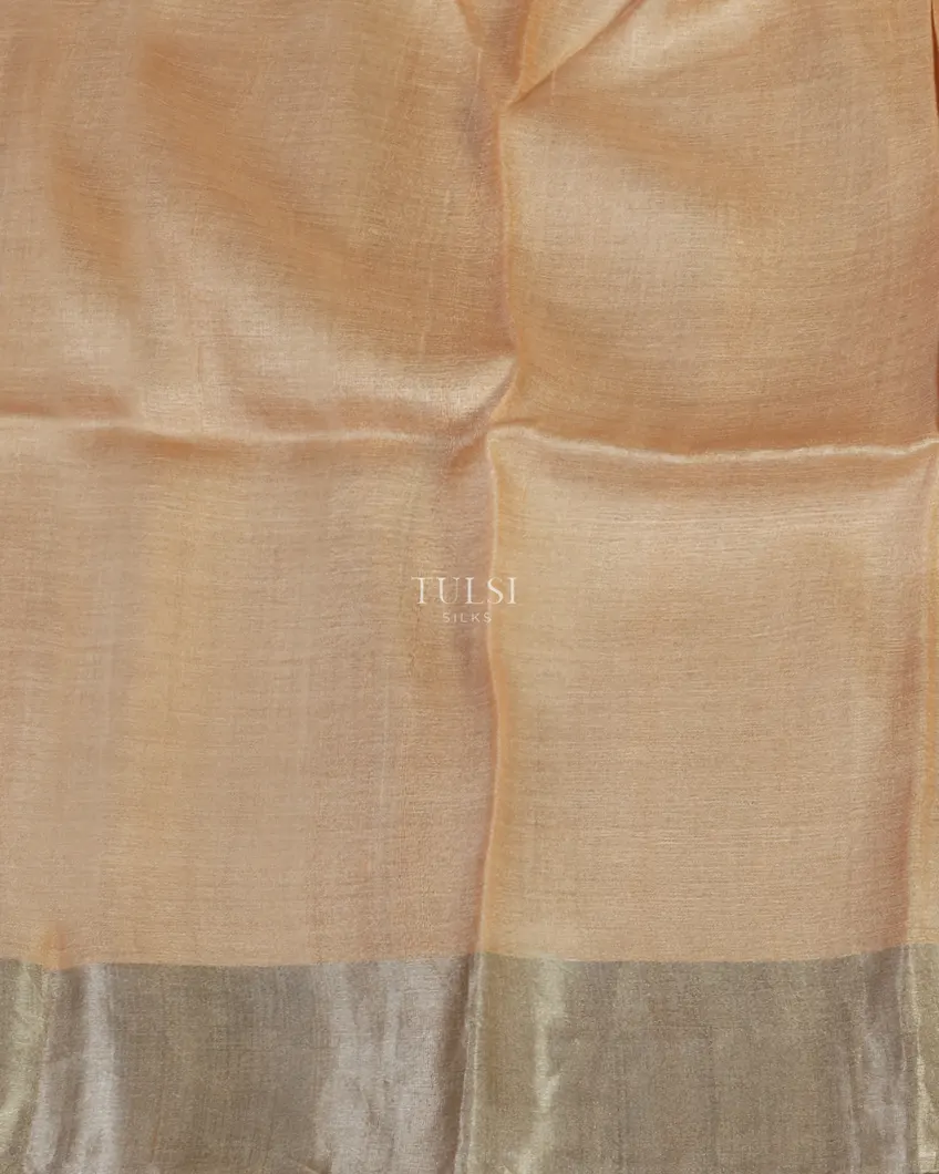beige-tussar-printed-saree-t457702-t457702-c