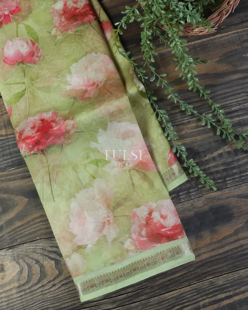Green Kora Organza Printed Saree T477277-image