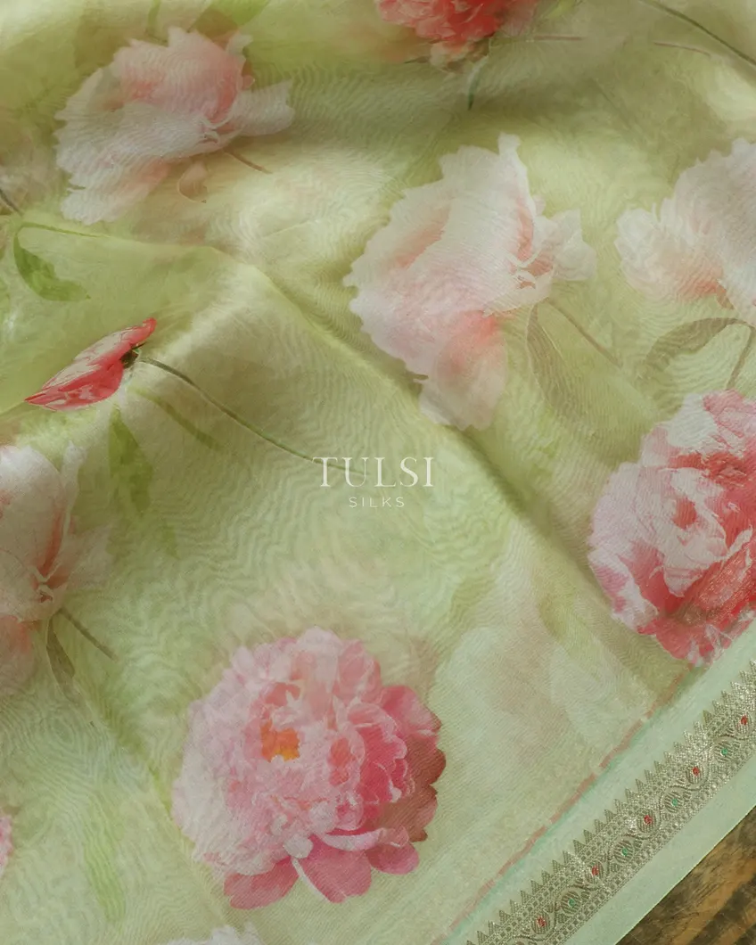 Green Kora Organza Printed Saree T4772775