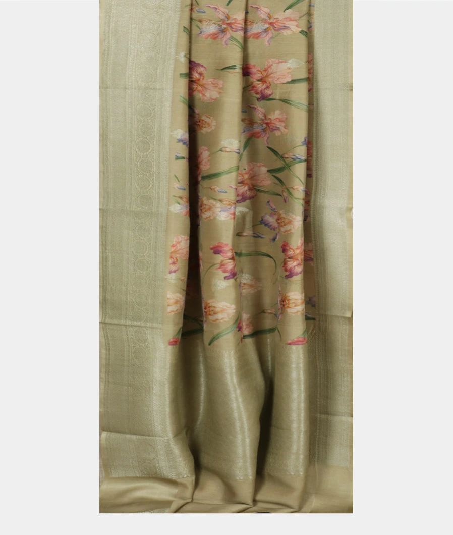 Greenish Beige Printed  Banaras Kathan Silk Saree T4093642