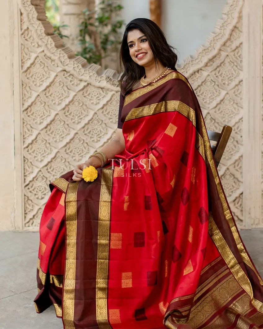 Red Kanjivaram Silk Saree T487736-image