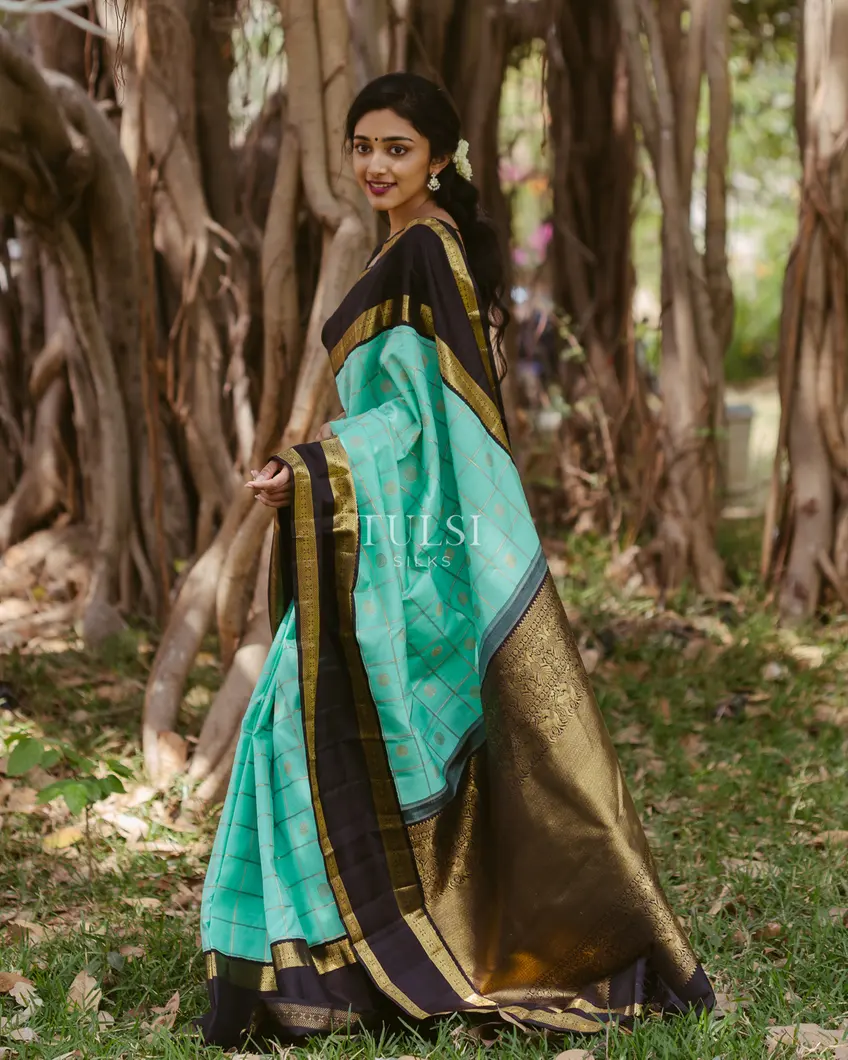 cyan-blue-kanjivaram-silk-saree-t461135-t461135-d