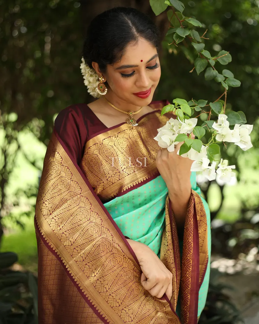 aqua-green-kanjivaram-silk-saree-t341458-t341458-d