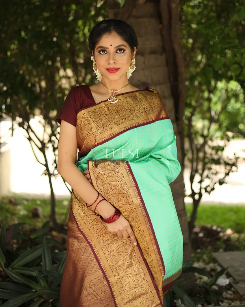 aqua-green-kanjivaram-silk-saree-t341458-t341458-e
