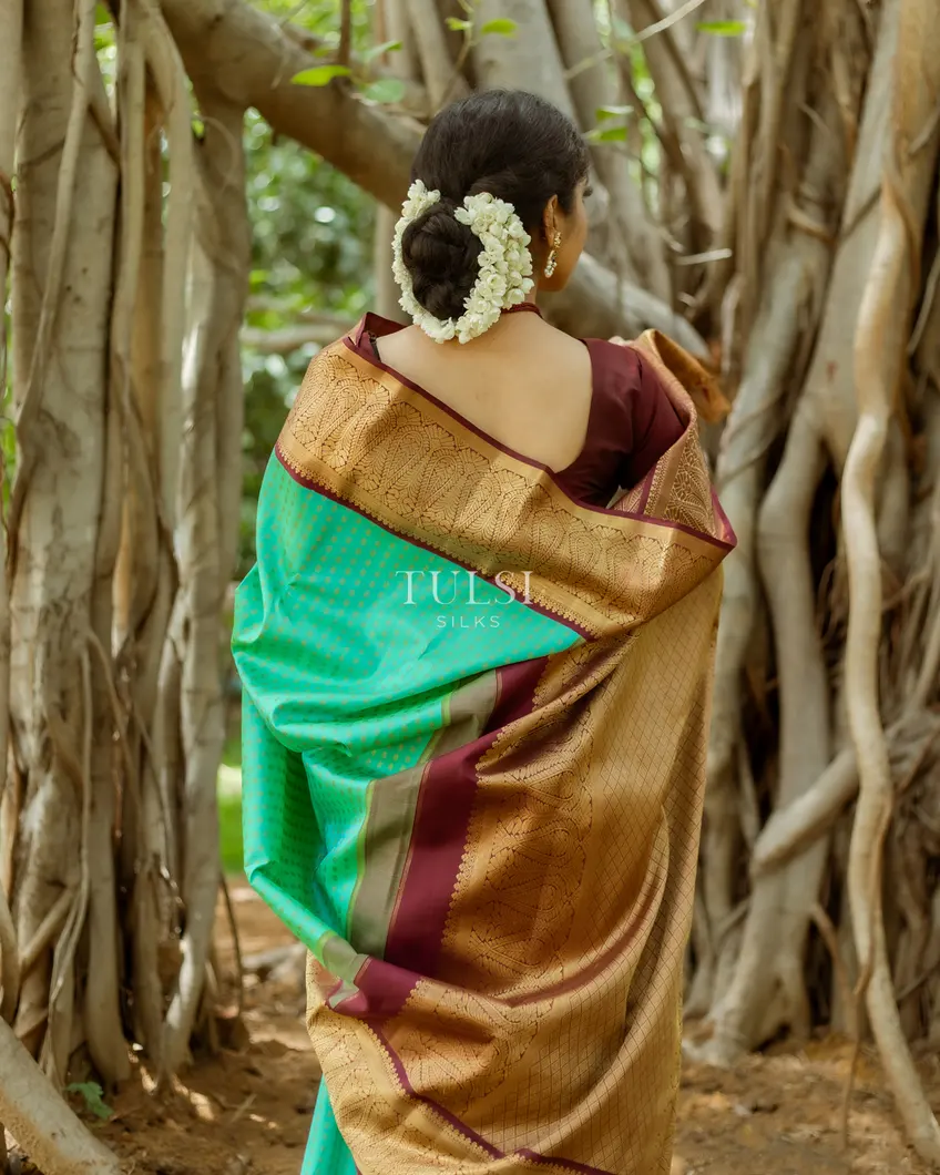 aqua-green-kanjivaram-silk-saree-t341458-t341458-f
