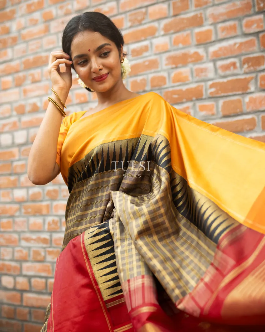 Black Kanjivaram Silk Saree T465223-image