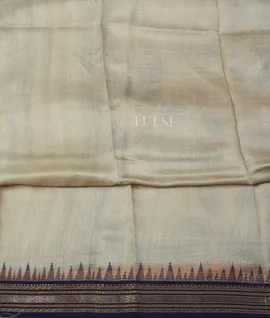 Beige Vidarbha Tussar Saree T4915693