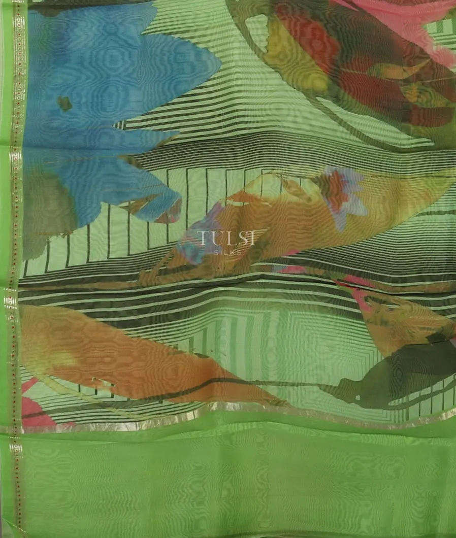 Green Kora Organza Printed Saree T3684704