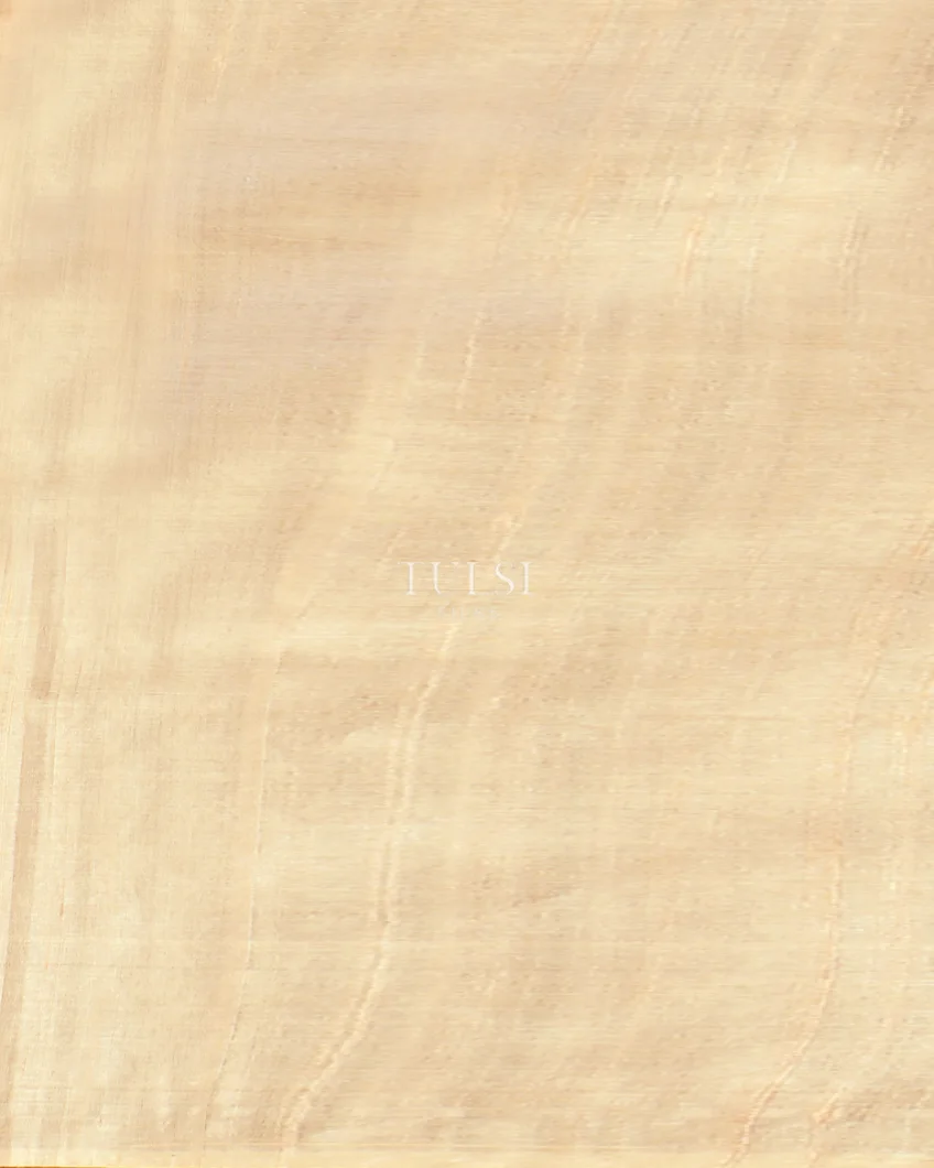 beige-tussar-embroidery-saree-t493300-t493300-c