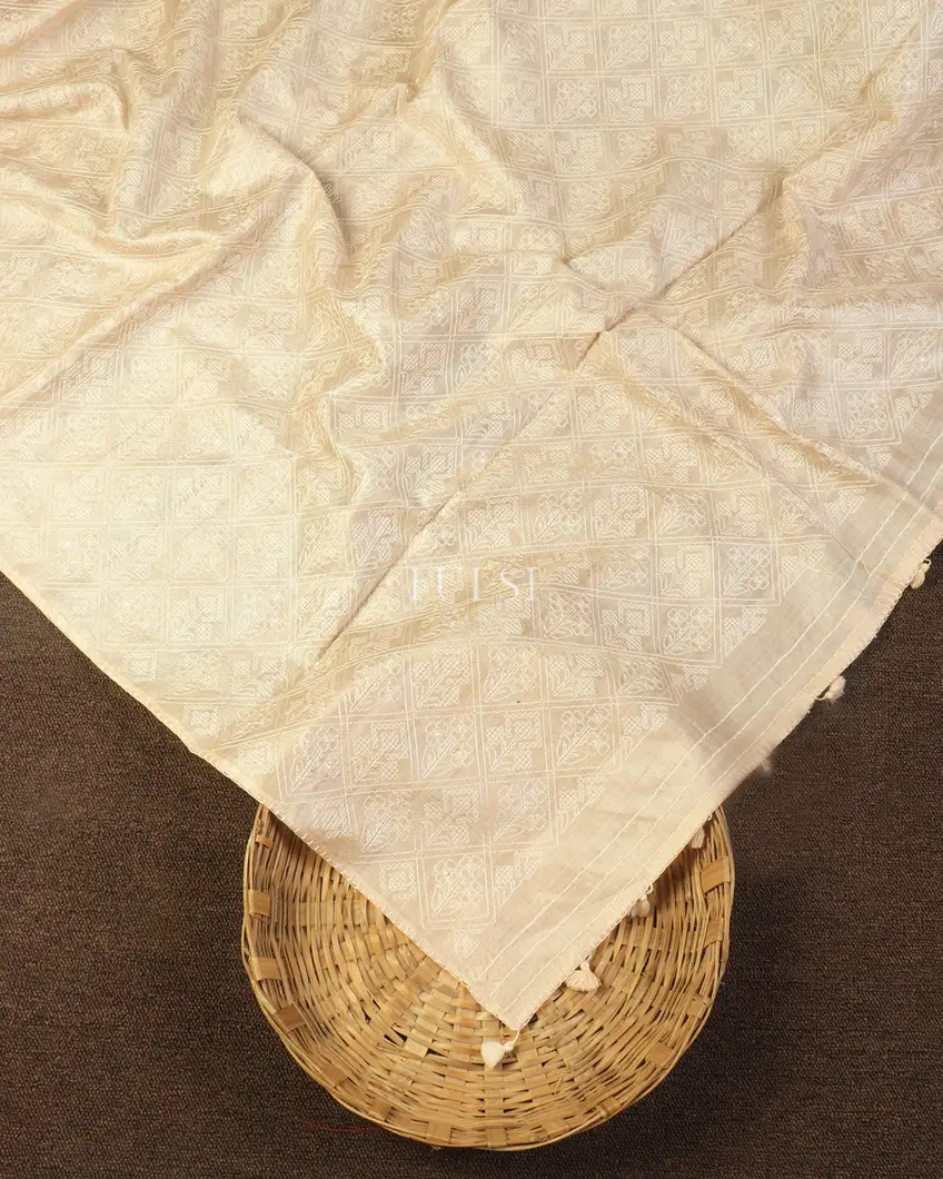 beige-tussar-embroidery-saree-t493300-t493300-d