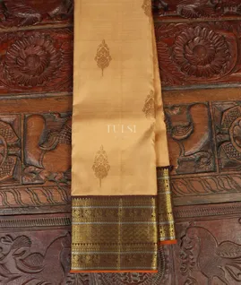 Beige Kanjivaram Silk Saree T4122671