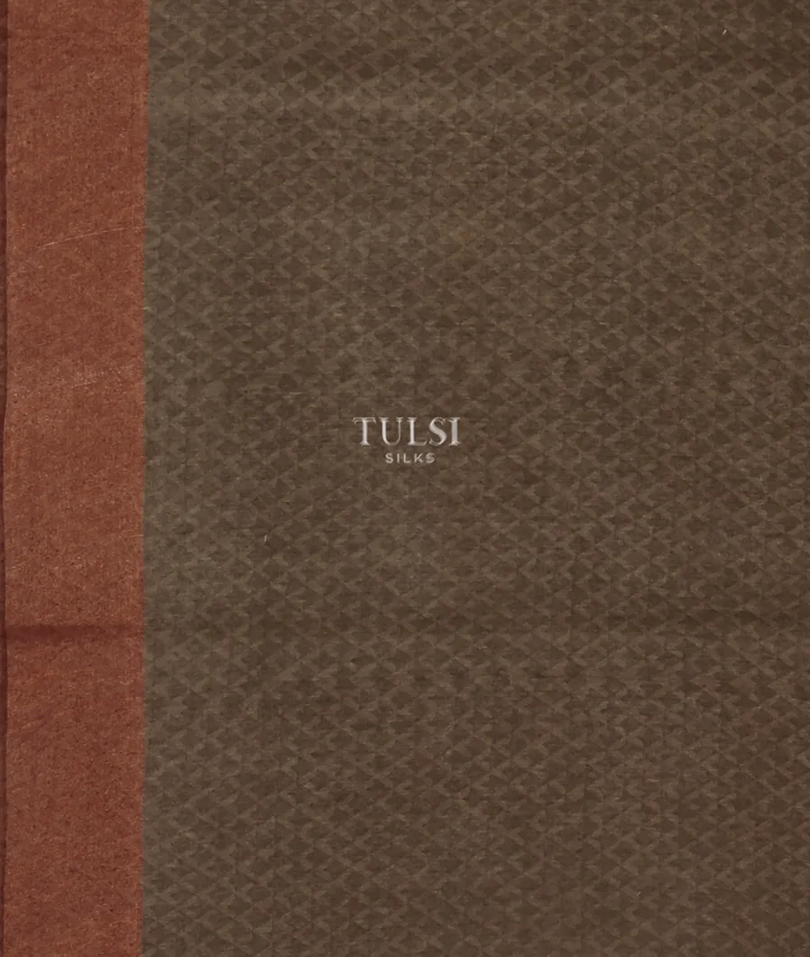 Brown Tussar Printed Saree T4794073