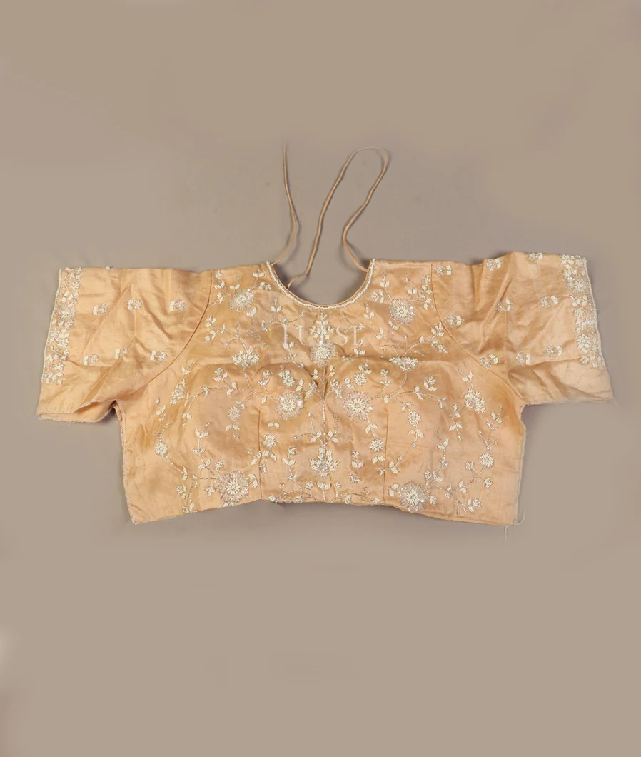 beige-tussar-embroidery-blouse-t508984-t506984-b