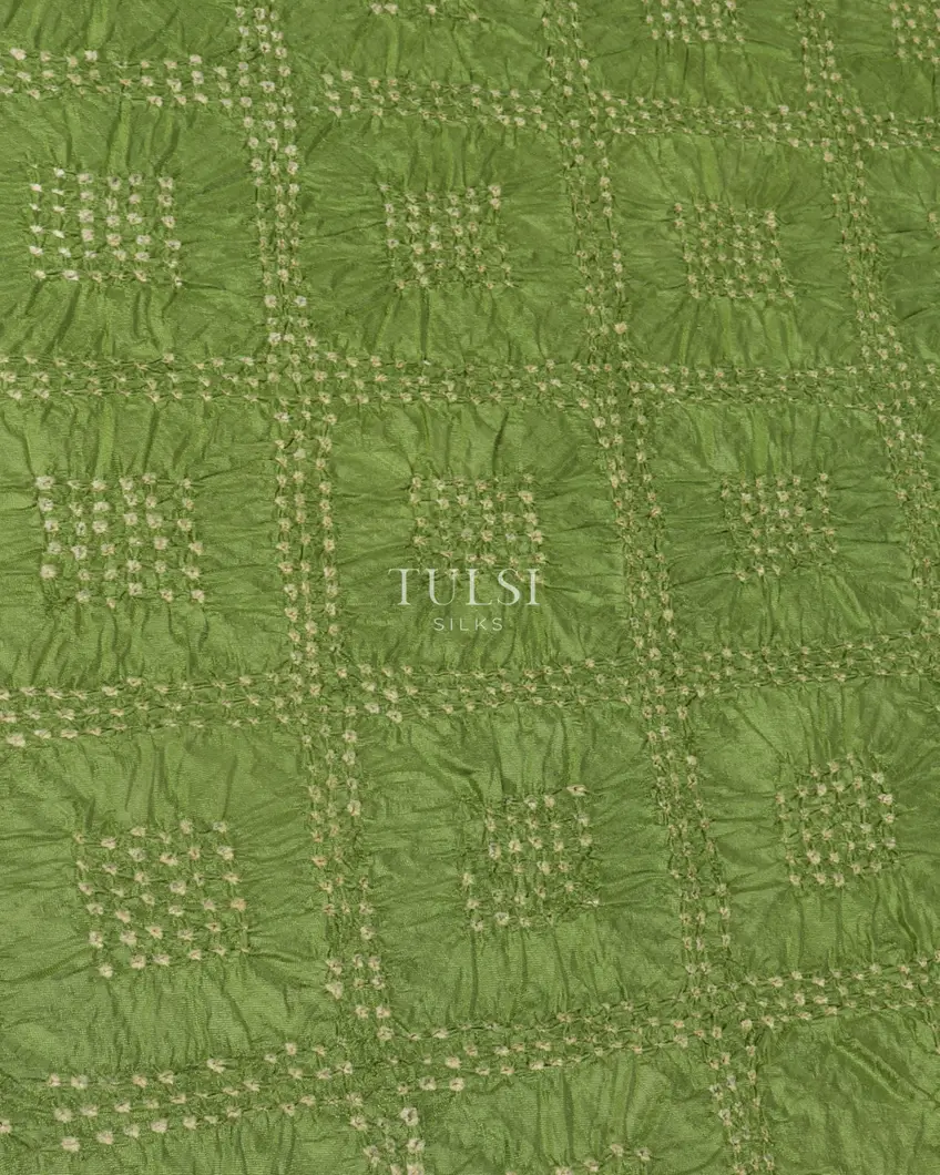 Green Bandhani Kanjivaram Pavadai T2635624