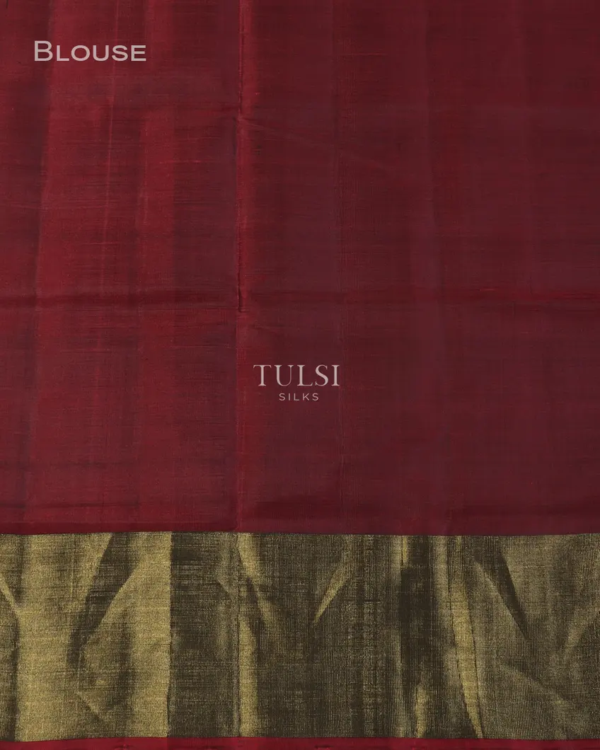 Red Patola Silk Saree T5055953