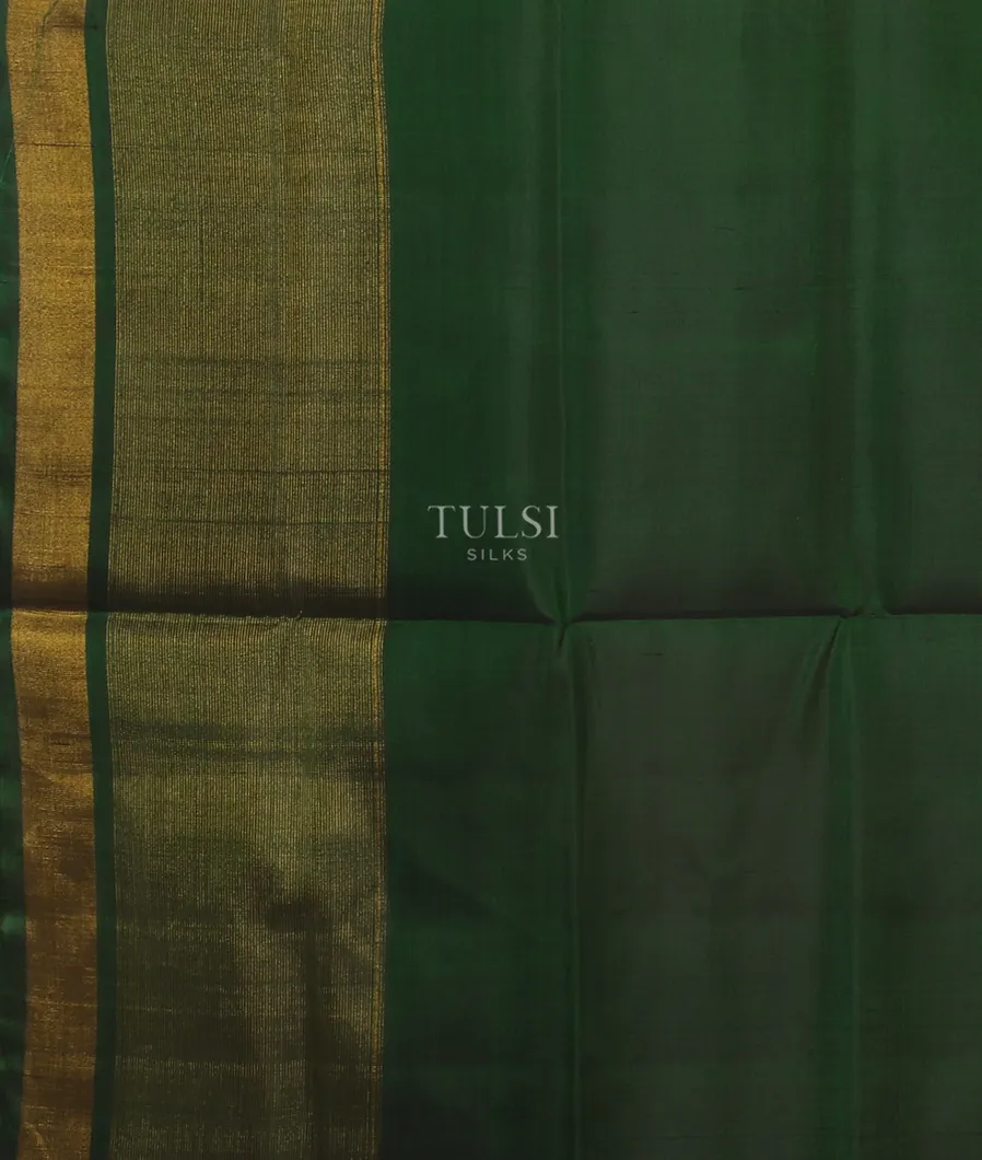 beige-patola-silk-saree-t511135-t511135-c