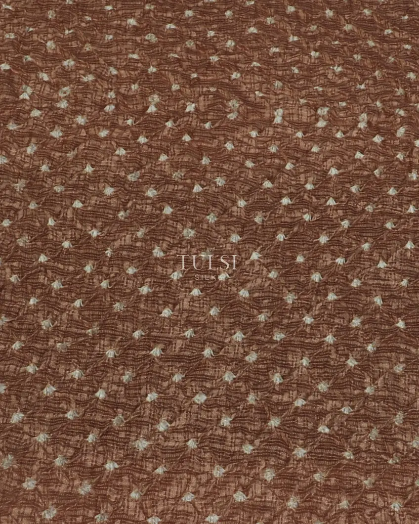 brown-bandhini-tussar-saree-t511561-t511561-d