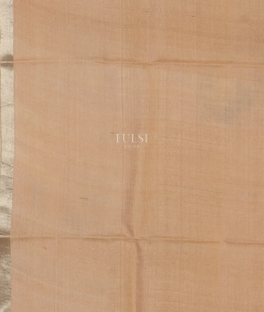 Beige Tussar Printed Saree T5068973