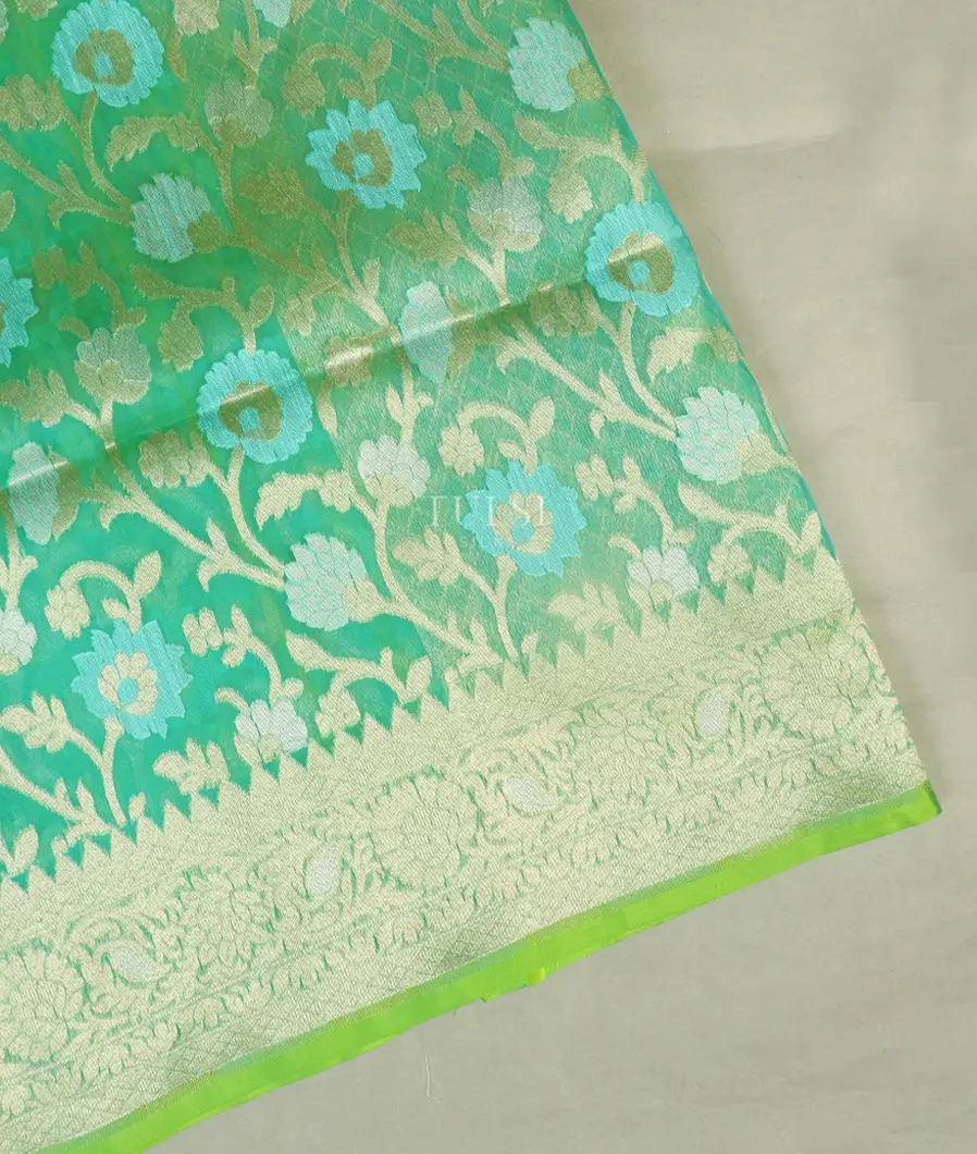 Green Banaras Organza Saree T515204-image