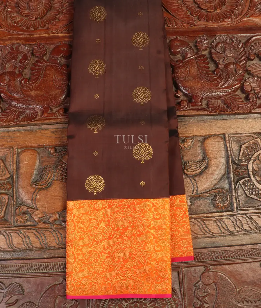 Brown Kanjivaram Silk Saree T437194-image