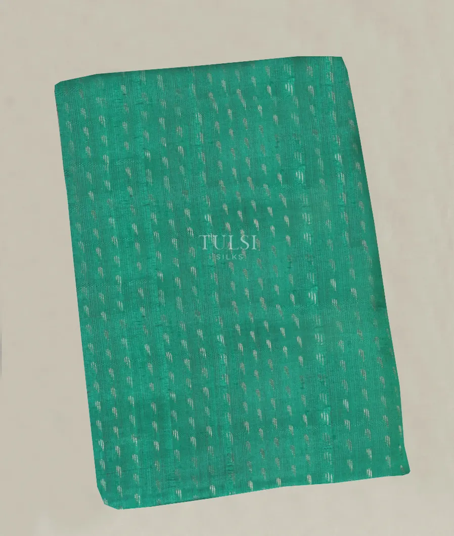 Green Woven Raw Silk Saree T495748-image